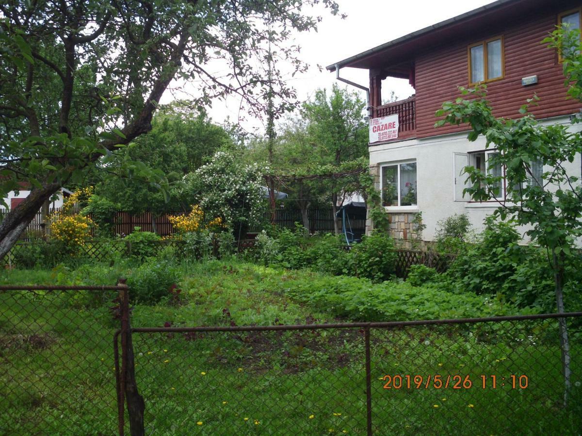 Vila Mihaela Breaza  Exterior photo