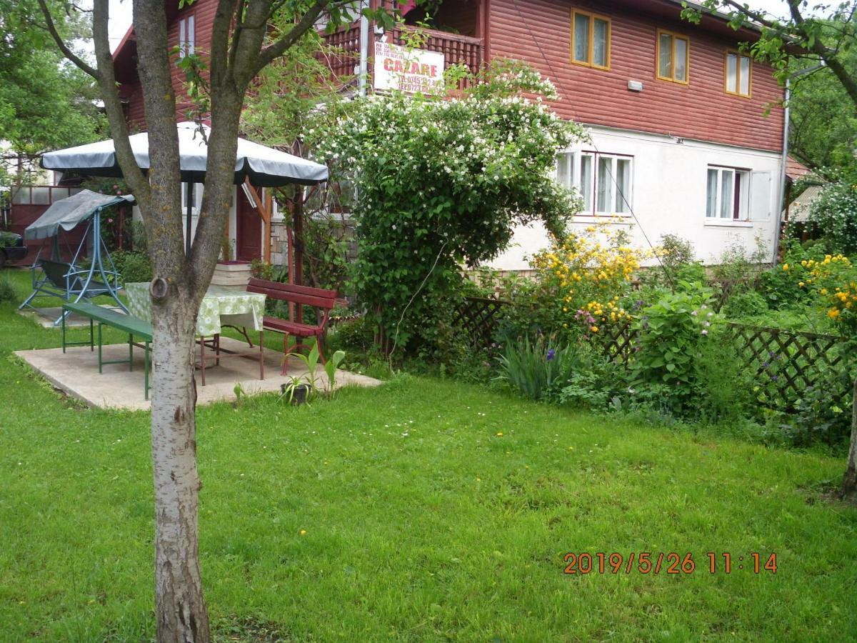 Vila Mihaela Breaza  Exterior photo